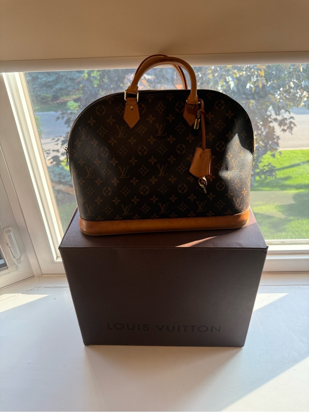 Louis Vuitton Monogram Alma GM Brown